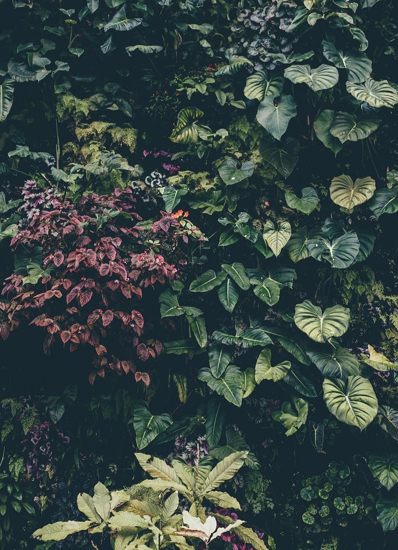 Botanical Accents