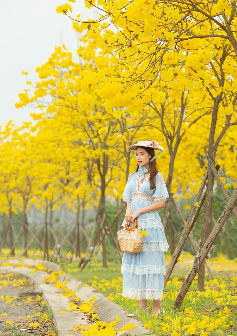 Nature-inspired Style